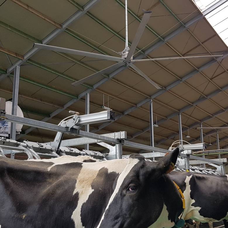 The HVLS-Fan
