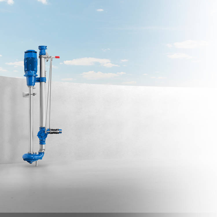 Eisele Vertical pump