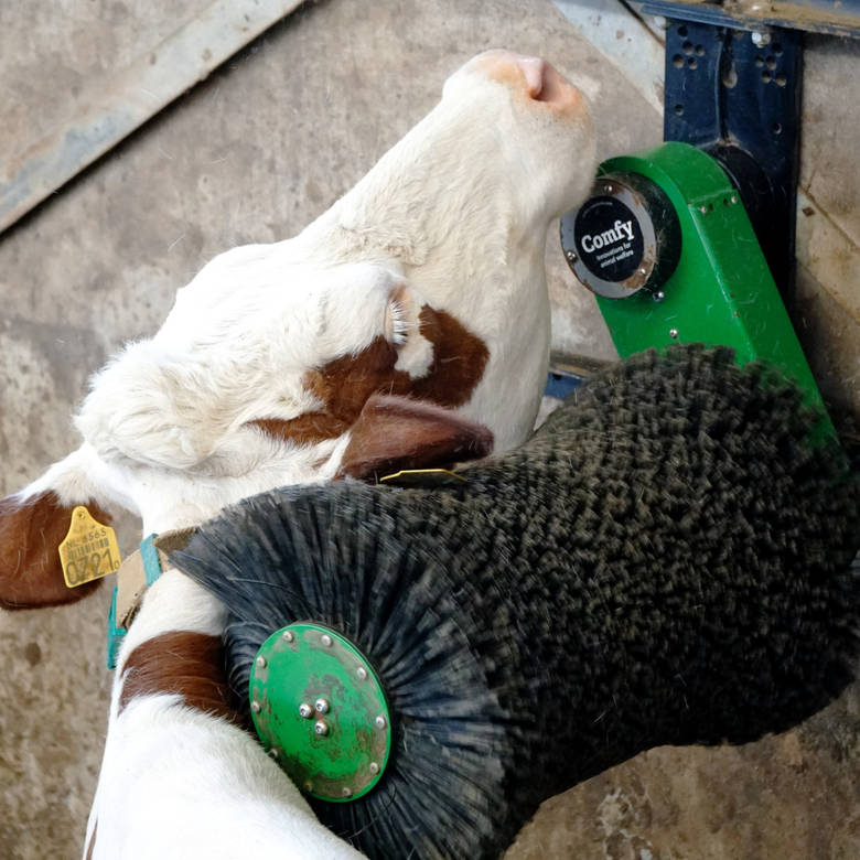 Easy installation and ready to use