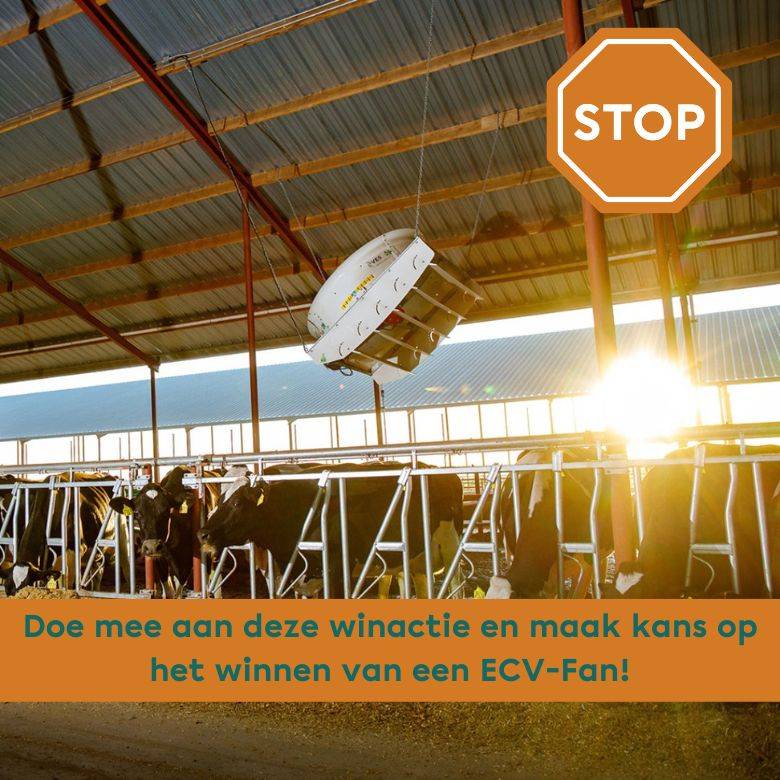 Win een ECV-Fan!