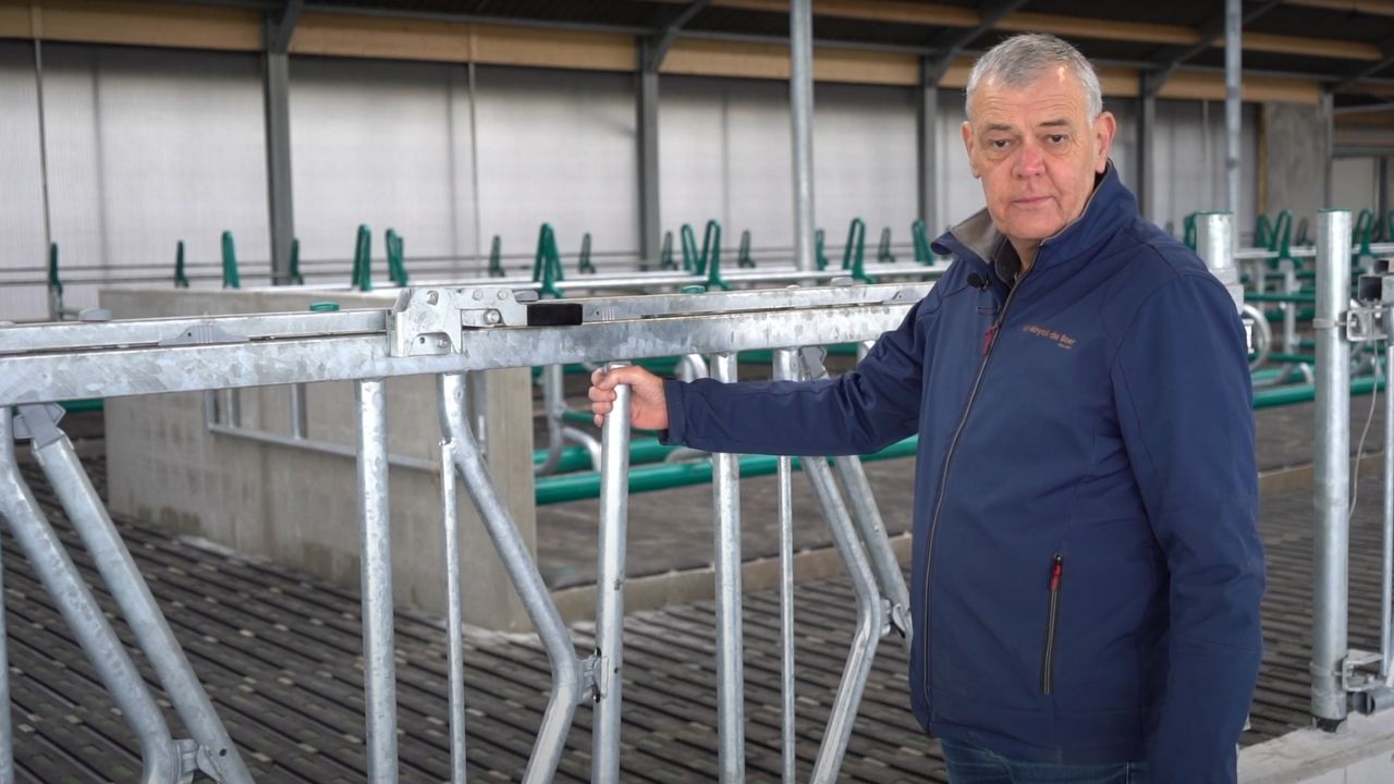 VIDEO: Optimal efficiency and safety in your barn with this cow feed fence!