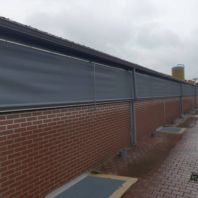 Functional characteristics