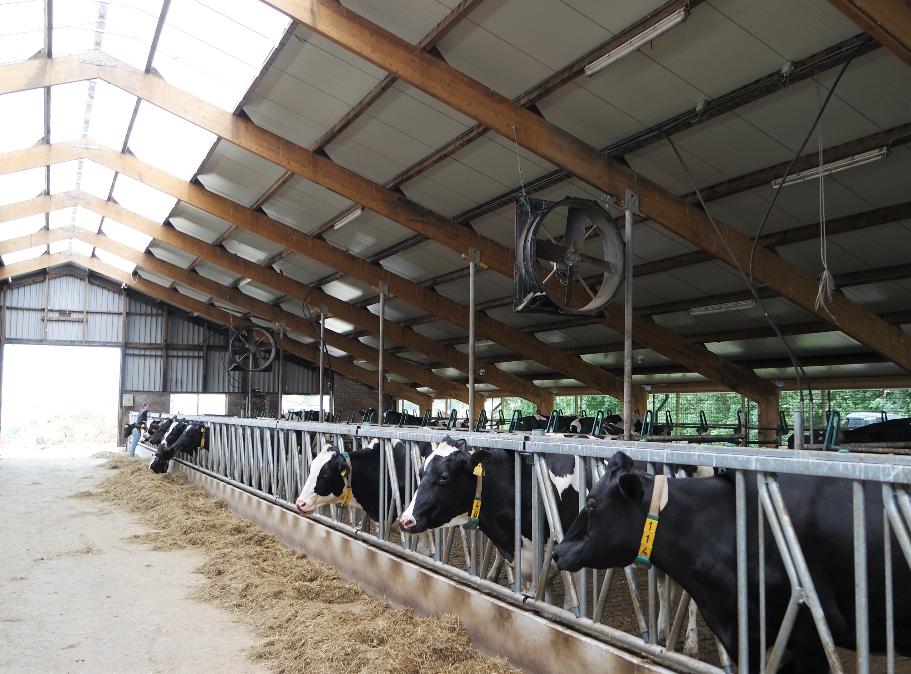 Stalventilatie het hele jaar door: deze investering betaalt zich altijd terug!