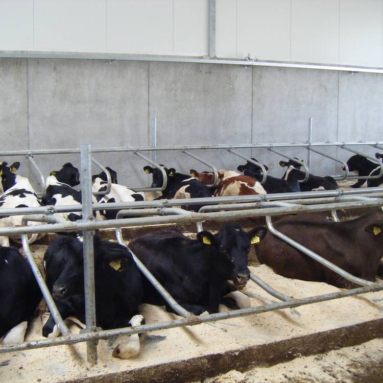 Floating cubicle divisions