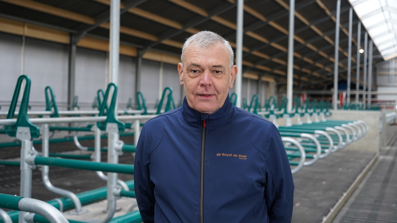 VIDEO: Optimaliseer koecomfort met de innovatieve B3130-Flex ligboxafscheiding van Royal de Boer!