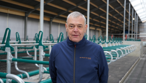 VIDEO: Optimaliseer koecomfort met de innovatieve B3130-Flex ligboxafscheiding van Royal de Boer!