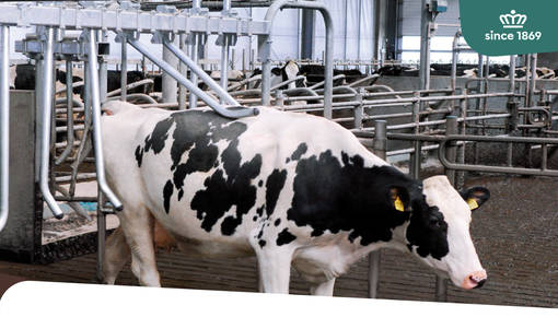 Update: Heavy Duty Finger Now Standard