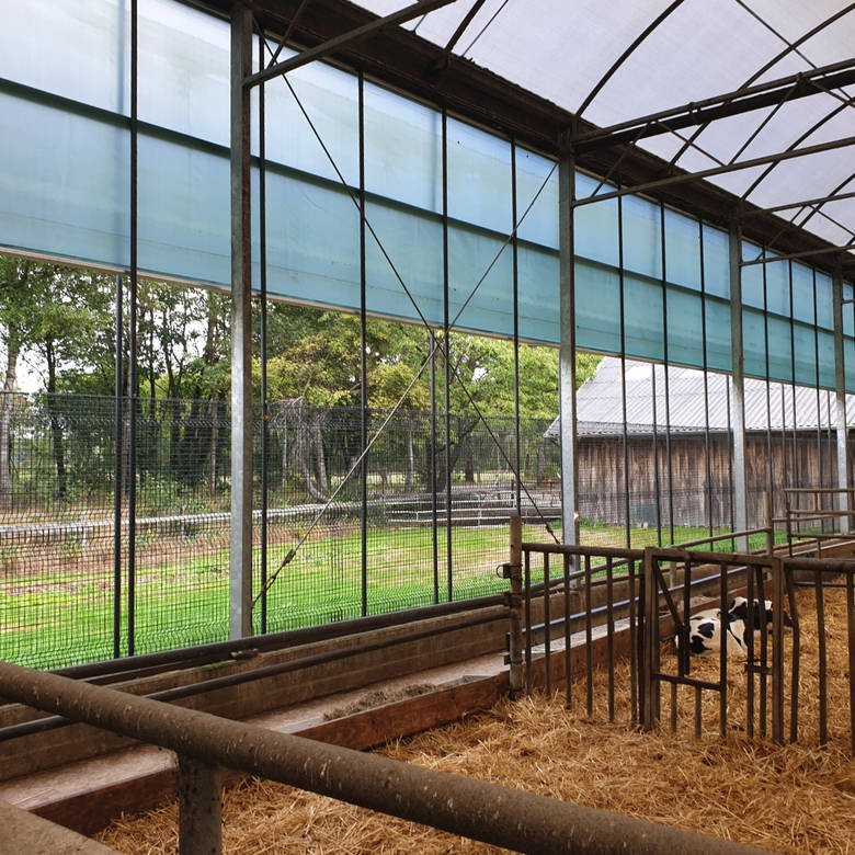 Functional characteristics