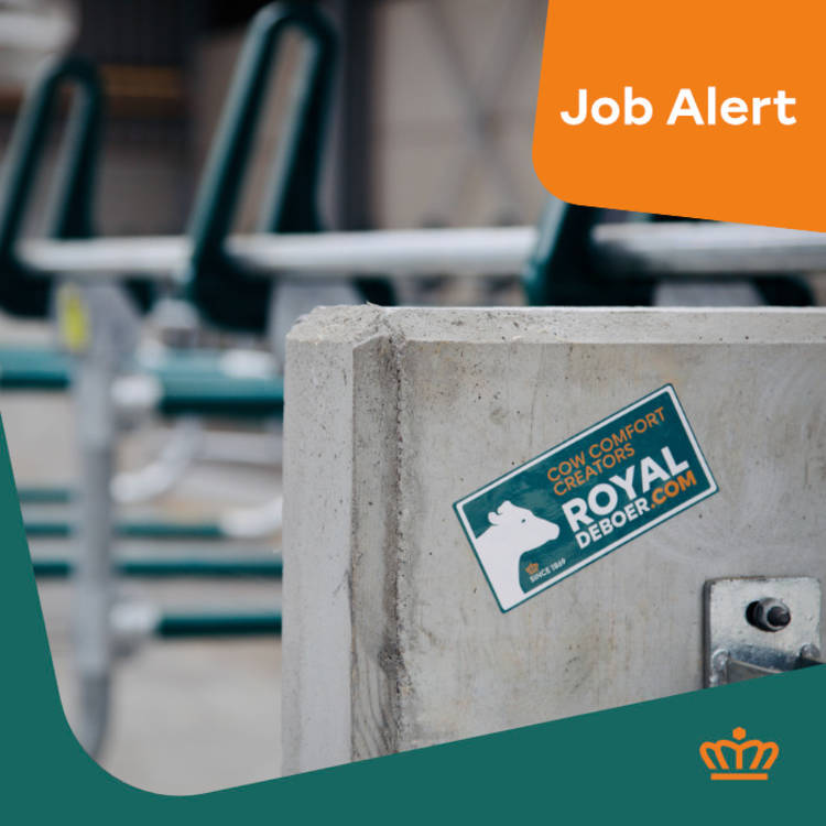 Intern Accountmanager