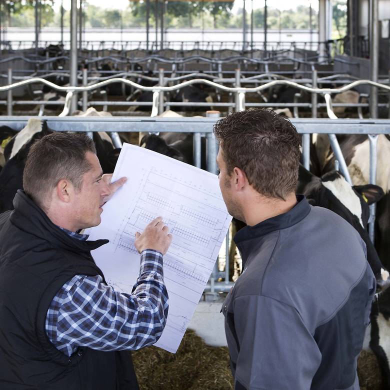 Equipement complet de l'étable pour les vaches