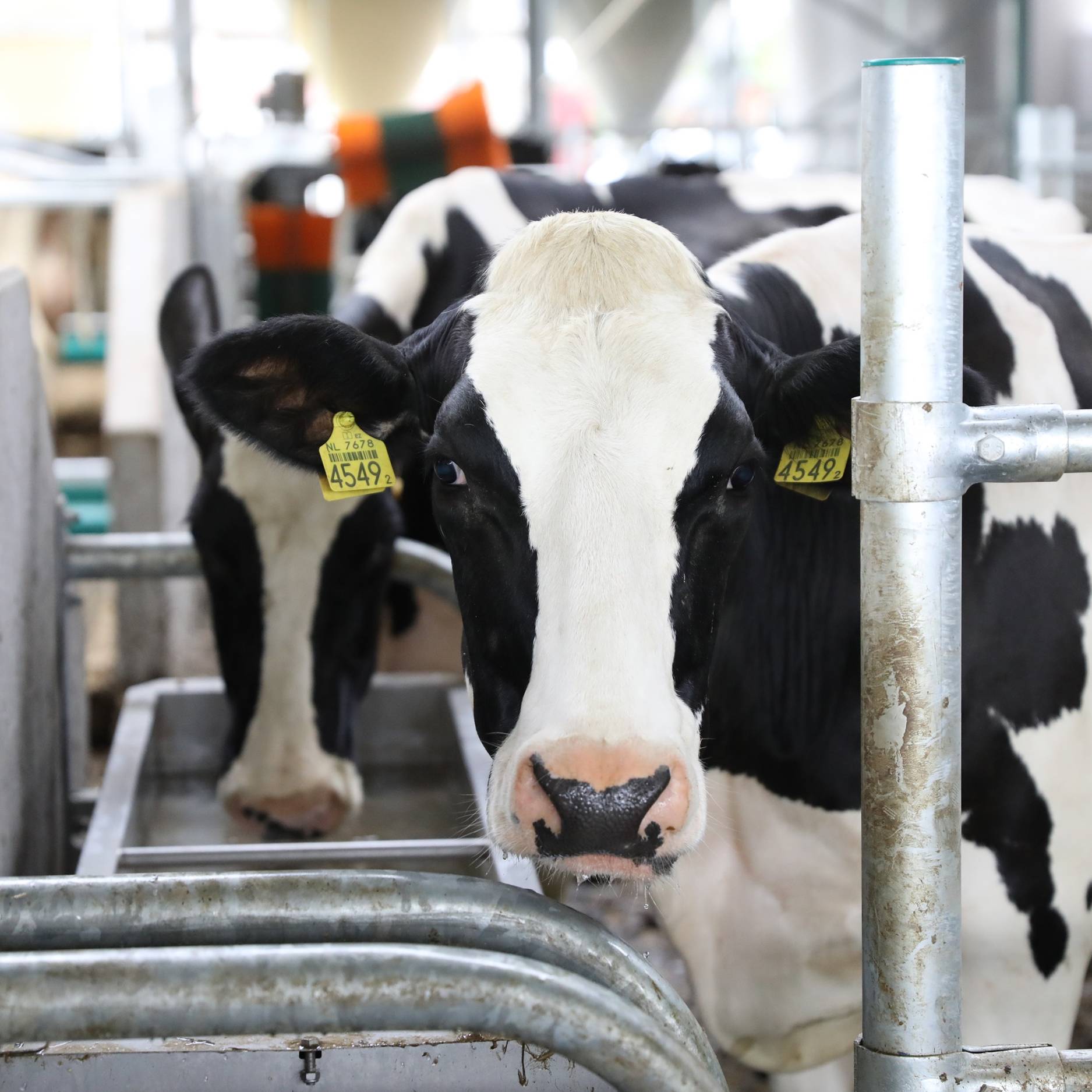 MANURE MIXERS BY ROYAL DE BOER