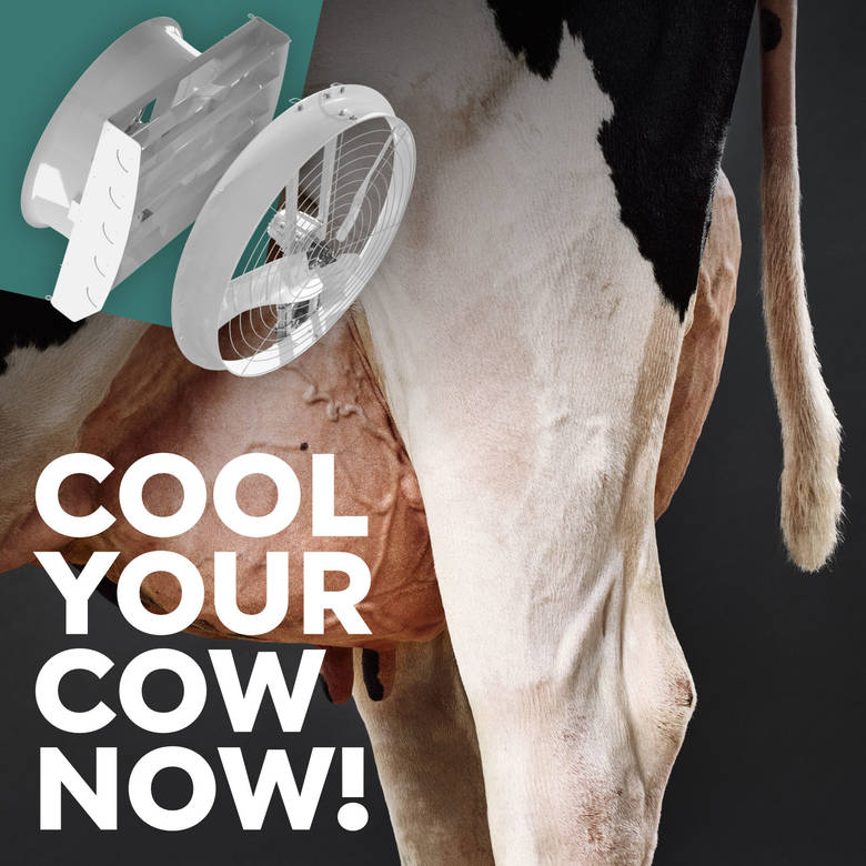 Effectief koelen doe je op koe-niveau