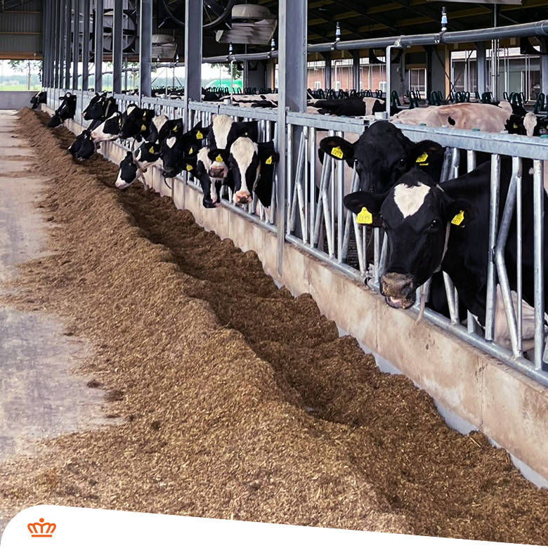 Twist & Lock feed fence