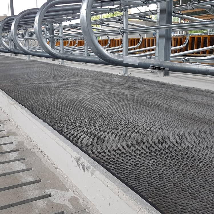 Gummystuds koematras