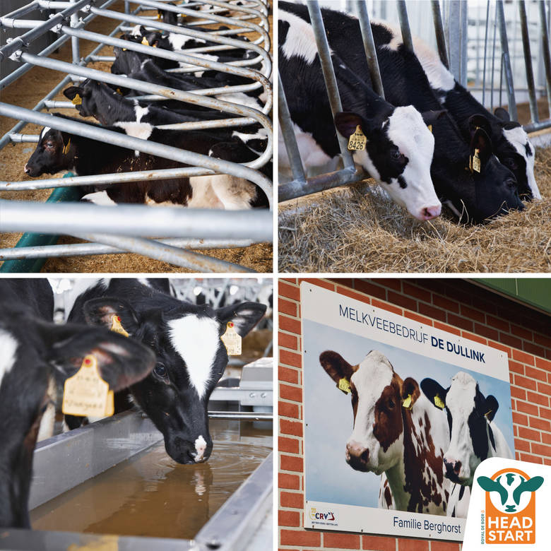 Adaptation and comfort