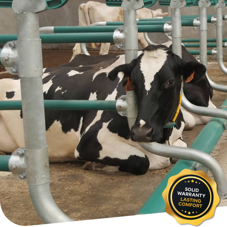 Royal de Boer Cow Mattresses