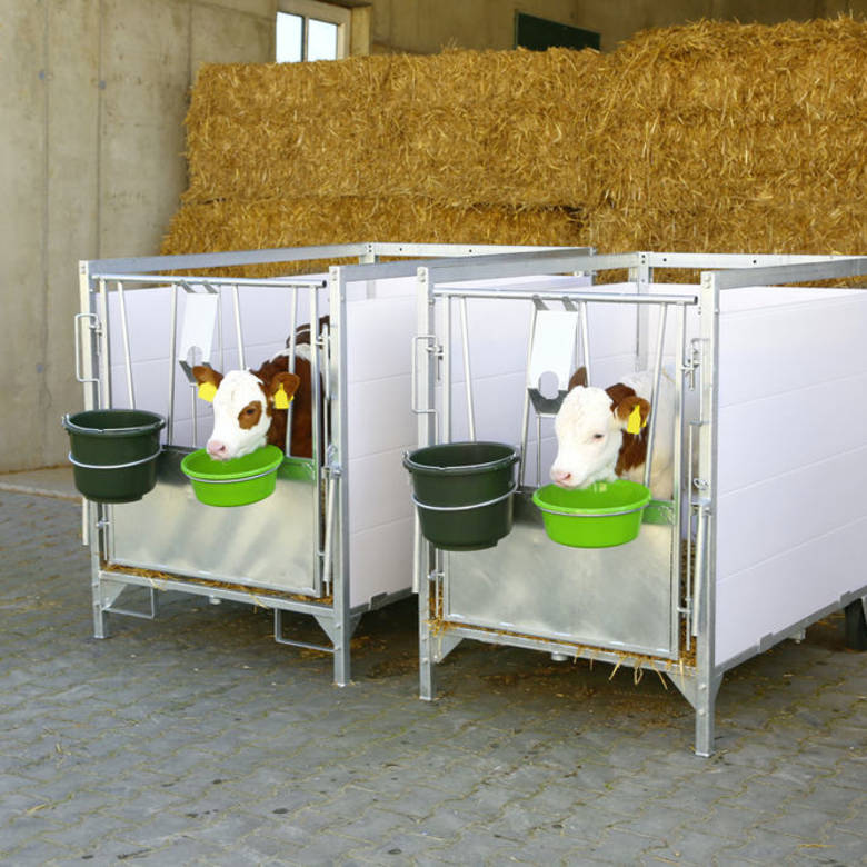 Royal de Boer calf box