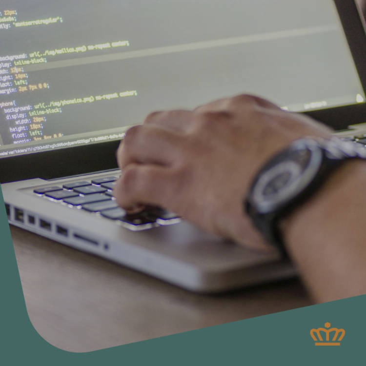 Digital Systems Specialist