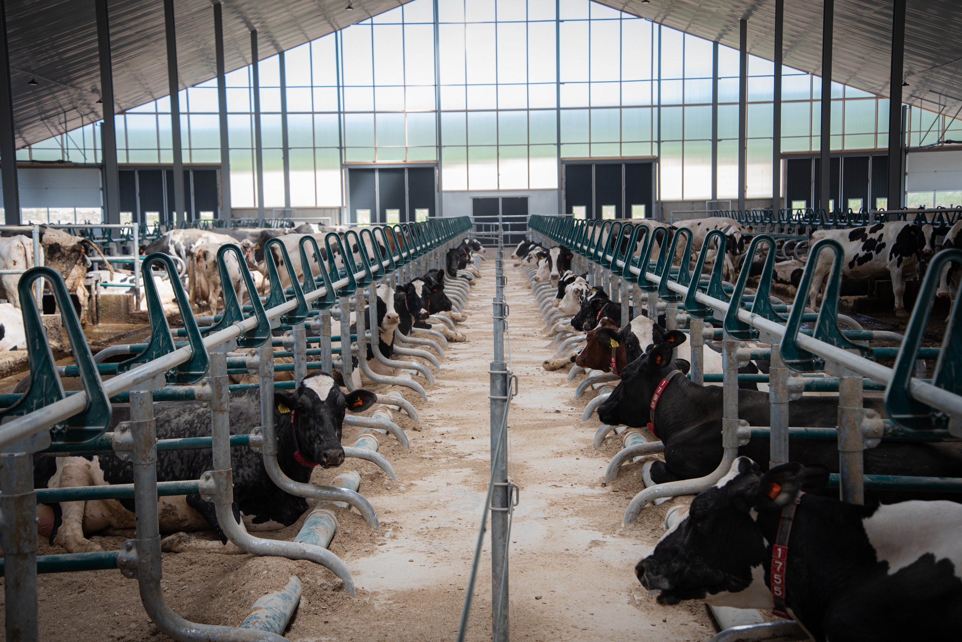 Dé drie pijlers die cruciaal zijn voor het bouwen van een complete, winstgevende stal