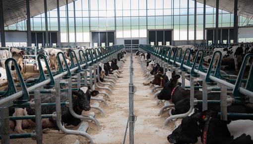 Dé drie pijlers die cruciaal zijn voor het bouwen van een complete, winstgevende stal