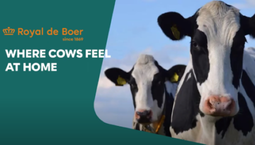 New company film from Royal de Boer