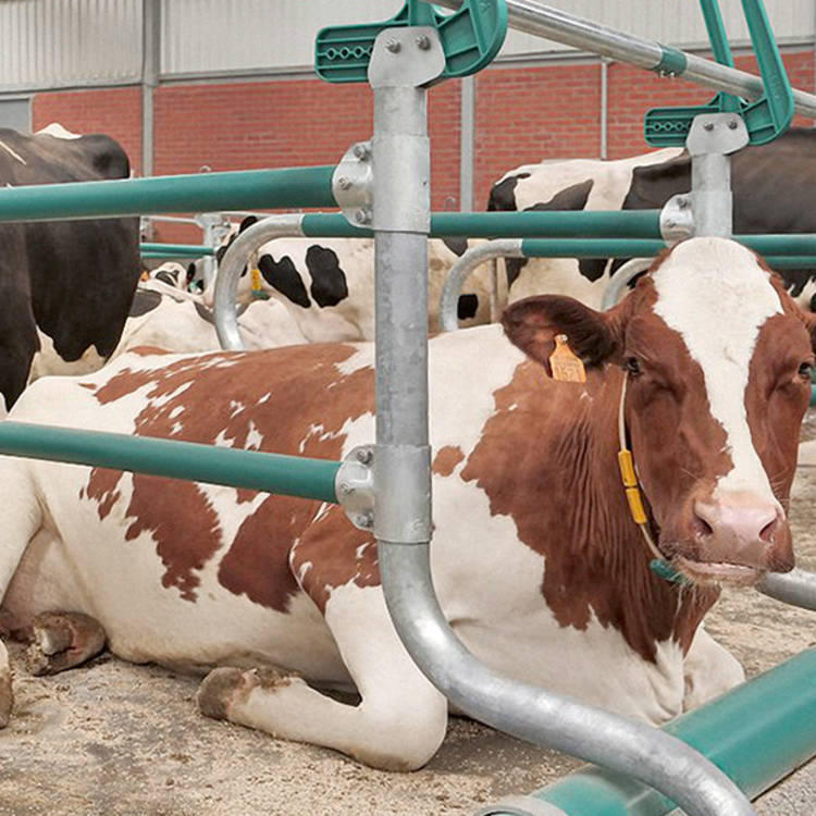 B3130 flexible cubicle