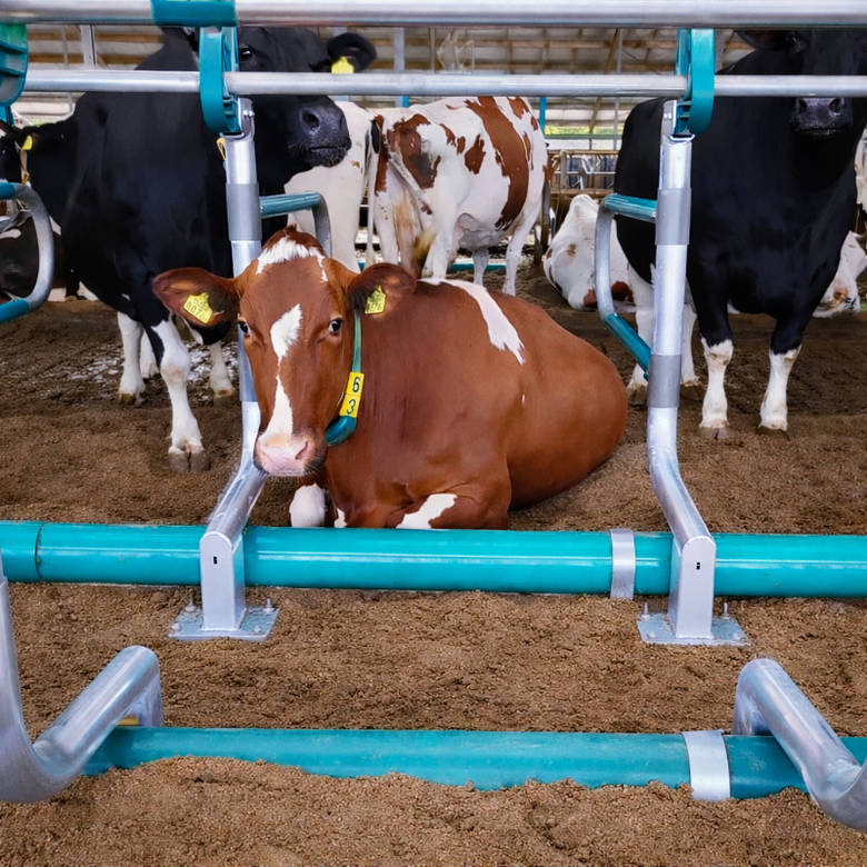 Key features of the SafetyFlex cubicle