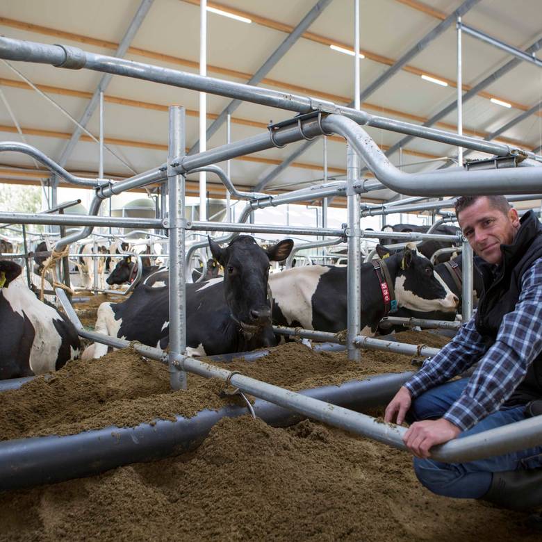 Focus areas for your barn equipment