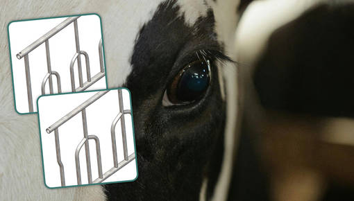 Palisade Feeding Fence for Calves and Young Cattle