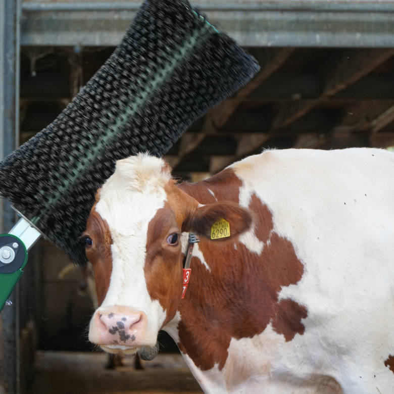 Cosy Cow Brush