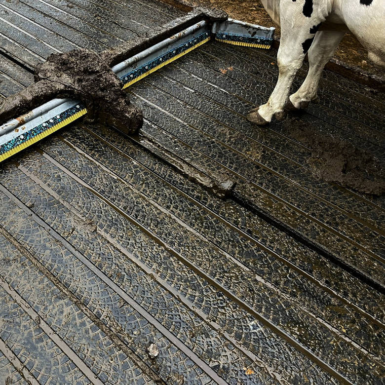 Durable, Practical and Low-Maintenance