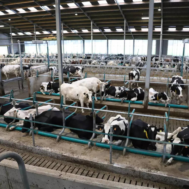 Системы подстилки