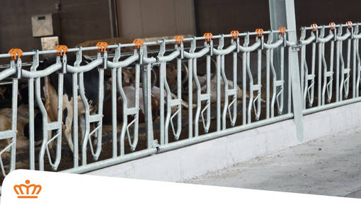 Access+ XL Feed Fences – Now Available as Standard