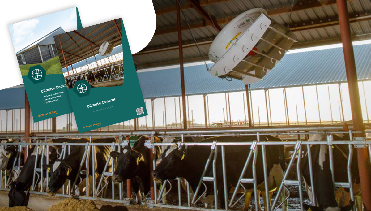 Houd jouw koeien koel met onze nieuwste ventilatieoplossingen