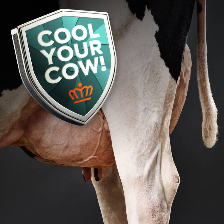 Cool Your Cow Campaign '25
