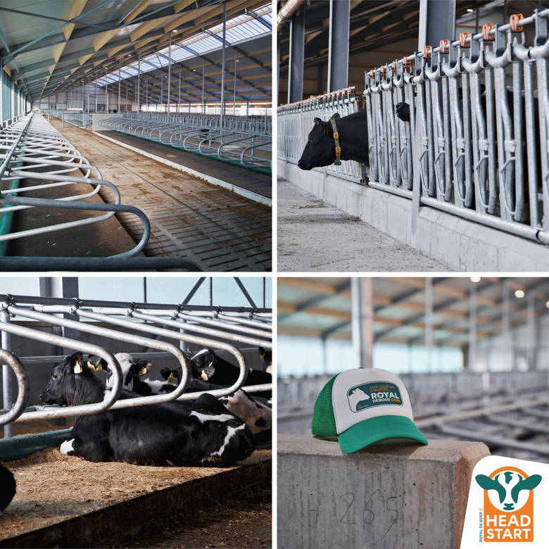 A good start pays off every day