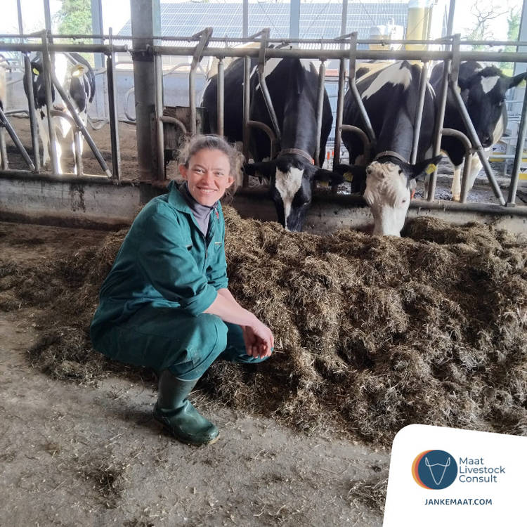 Interview: specialist koegedrag