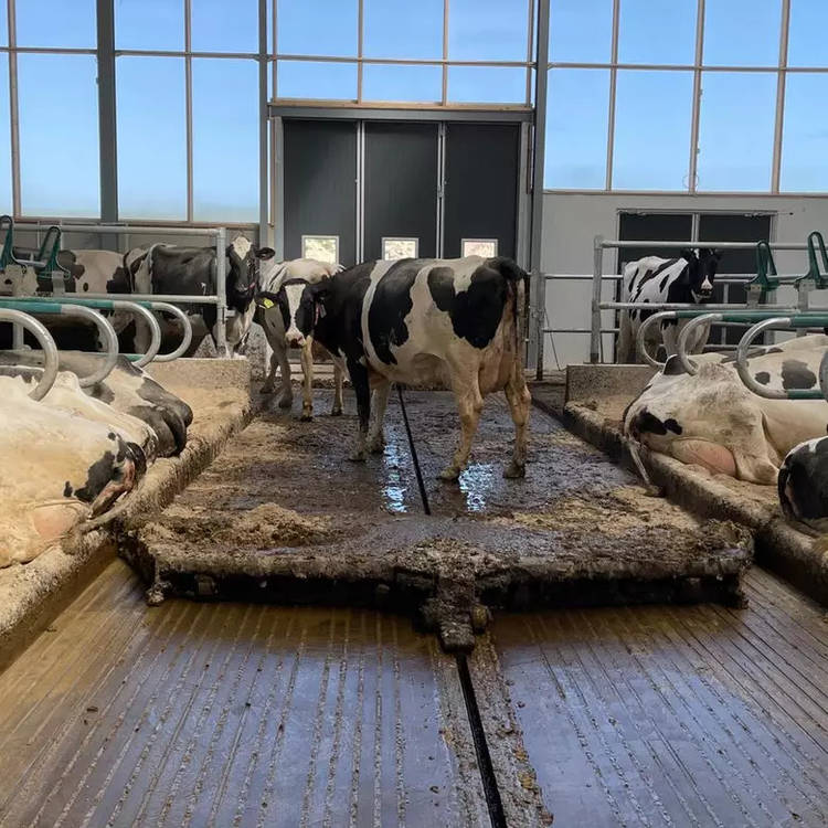 Комбинированный скребок