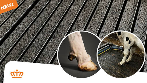 The SoftStep Floor – Grip and Emission Reduction