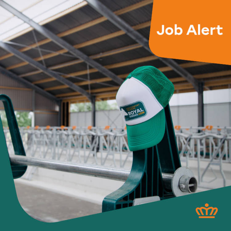 Stage Onderzoek Productie