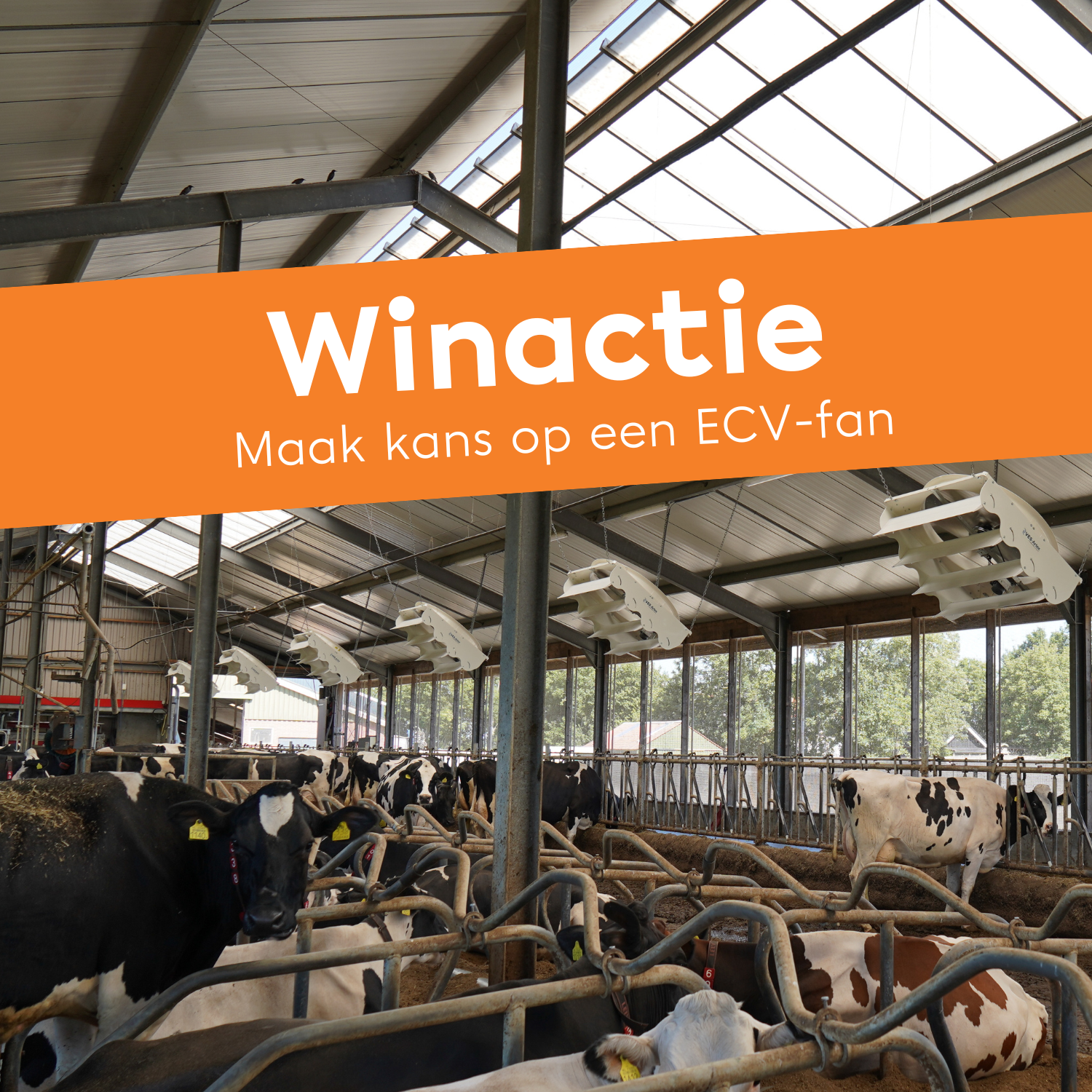 Grote winactie op de RMV Hardenberg