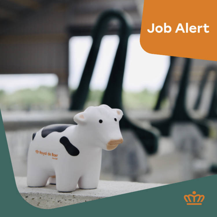 Stage Voorraadbeheer onderzoek