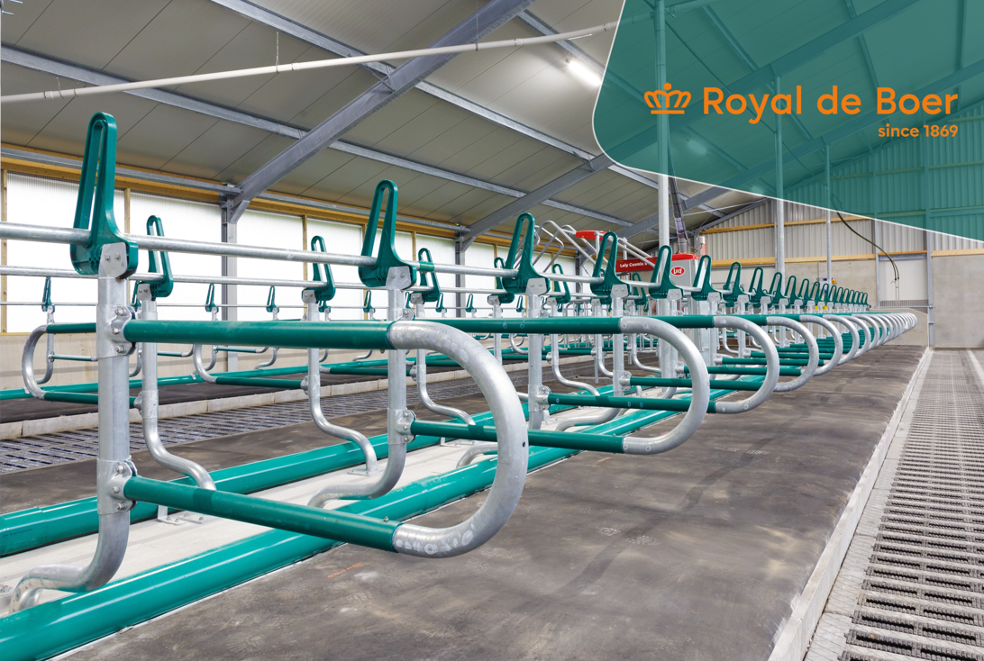 Nieuwe Melkveestal voor Mts. De Groot-Klein Douwel