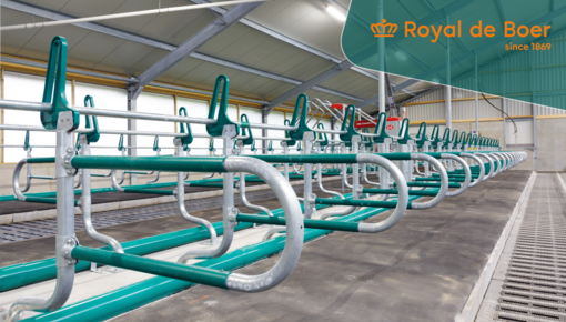 Nieuwe Melkveestal voor Mts. De Groot-Klein Douwel