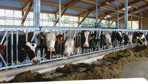 Price Reductions That Make a Difference