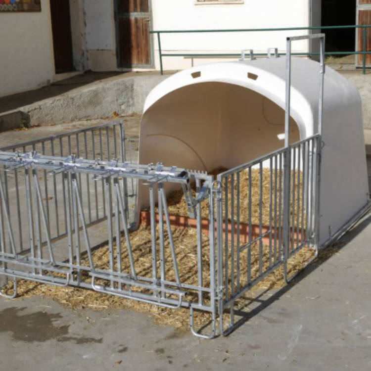 Содержание молодняка