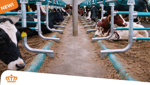 SafetyFlex – An Upgrade to the Proven B3130 Cubicle