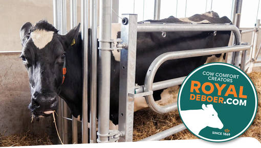 Name Change – Catch Box Becomes BirthCare Box