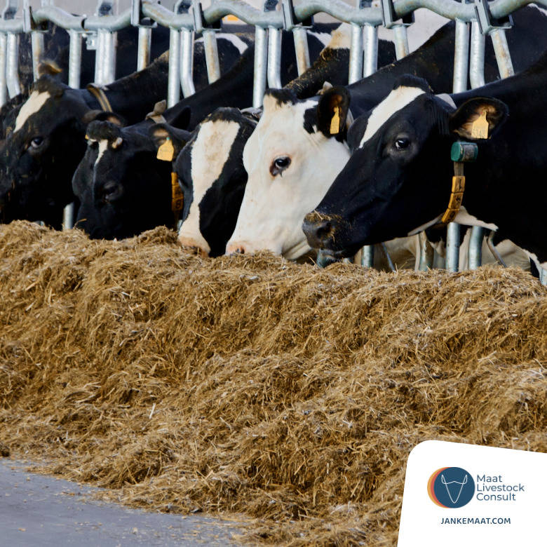 Eerst het grote plaatje, dan pas inzoomen