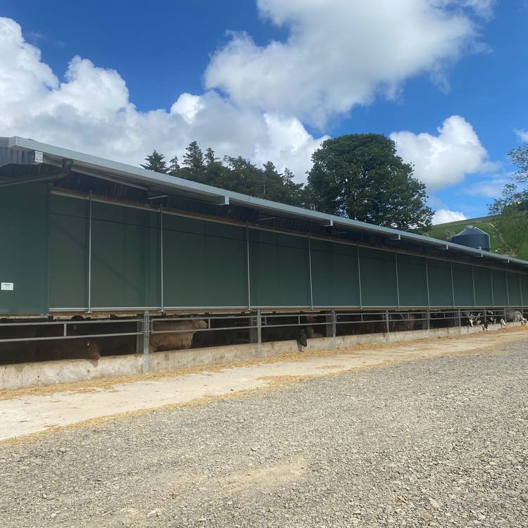 Système d’escalade VVS C5